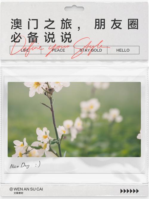 admin 第1112页