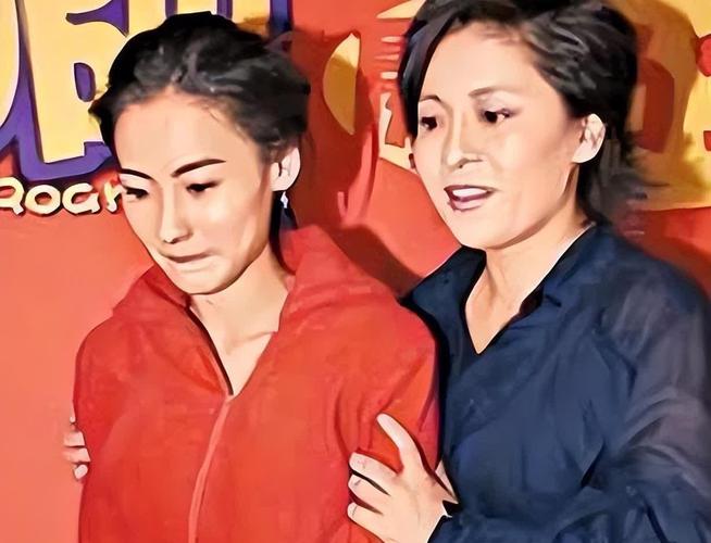 2025新澳门天天开好彩大乐透开奖号码和张柏芝近照撞脸向太与张柏芝像
