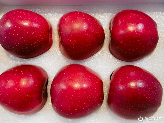 2025全年资料大全正版和这几种水果买就后悔与买哪些水果