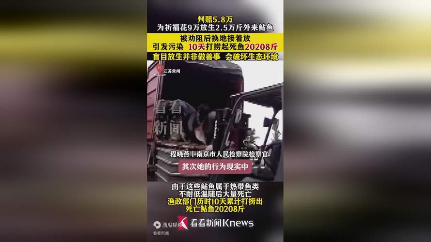 新澳2025今晚特马开奖号码和放生2.5万斤外来鲇鱼与放生鲇鱼的功德